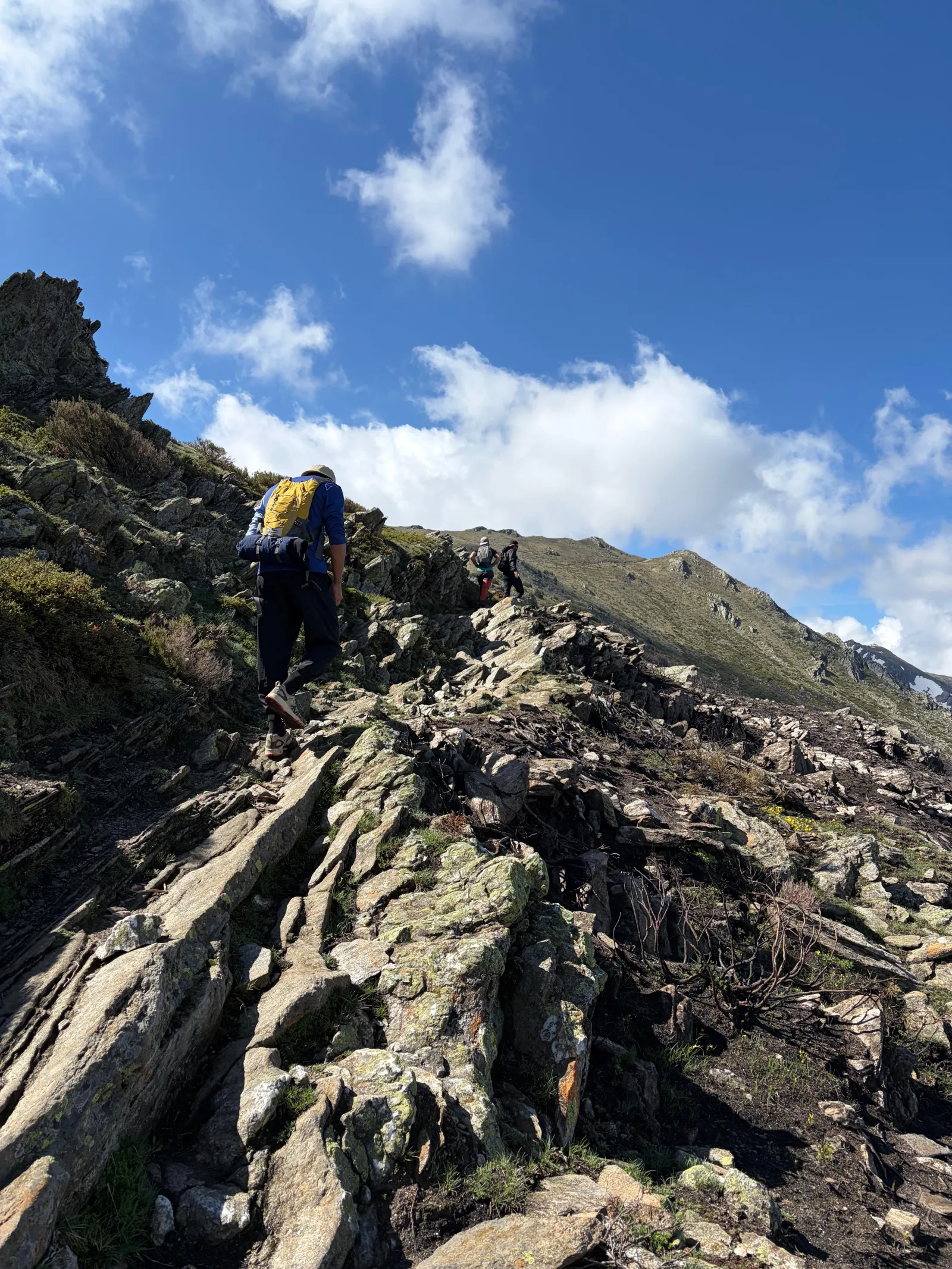 Pico del Lobo (2.274 m) desde el Puerto de la Quesera – Ruta ida y vuelta