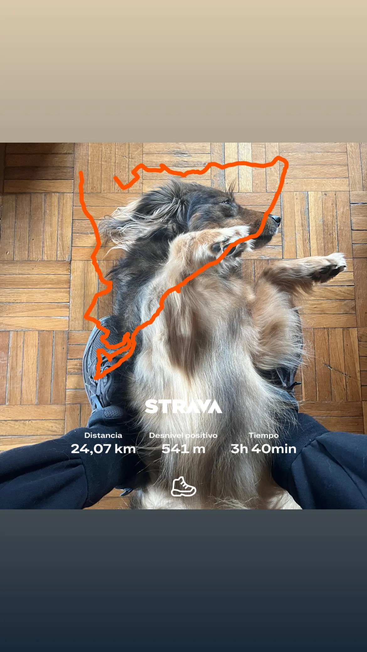 Ruta con perros: Guadalajara - Chiloeches - Poblado de Miraflores